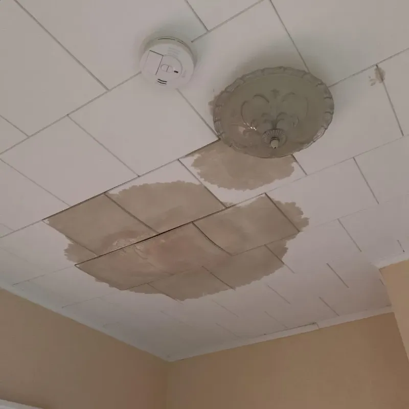 Ceiling Water Damage Repair in Bordentown, NJ