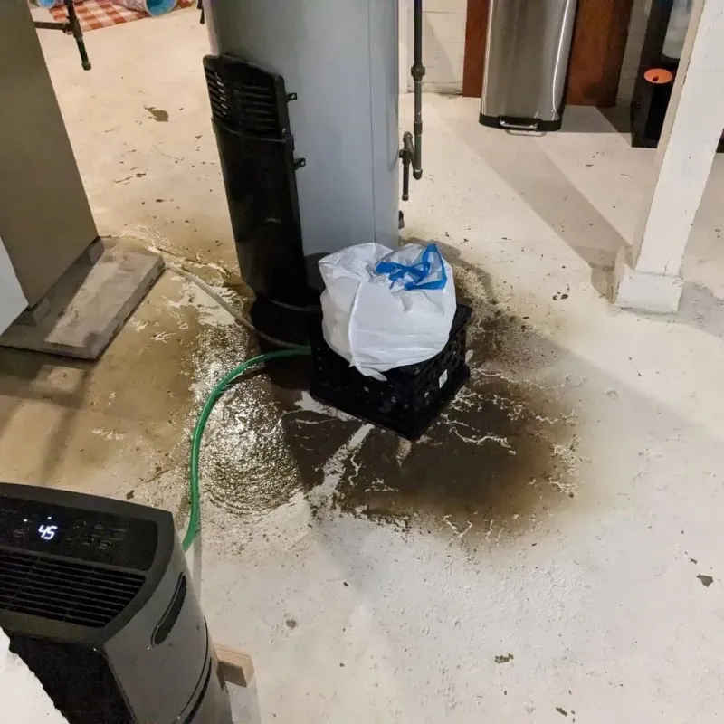 Sewage Backup Cleanup Service in Bordentown, NJ